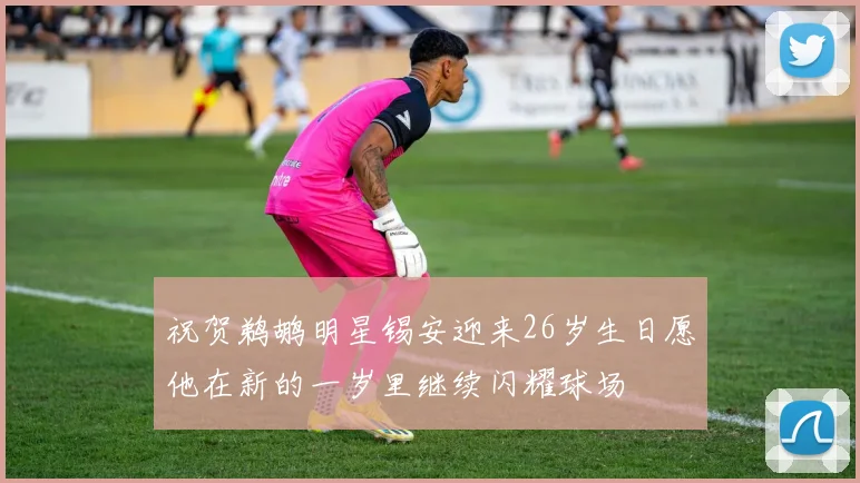 祝贺鹈鹕明星锡安迎来26岁生日愿他在新的一岁里继续闪耀球场